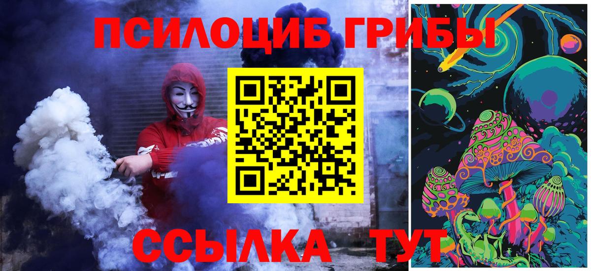 Псилоцибиновые грибы Psilocybine cubensis Йошкар-Ола