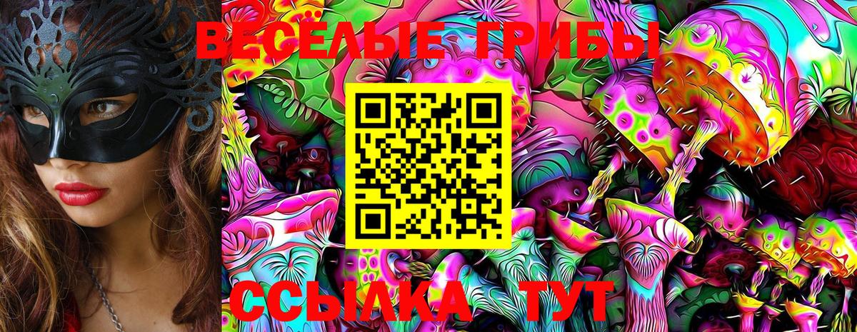 Йошкар-Ола  Псилоцибиновые грибы Magic Shrooms  Вход с VPN 